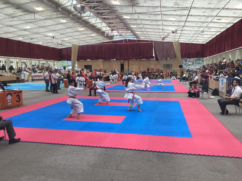 Se completaron los Juegos Deportivos en las categor&iacute;as Cadete y J&uacute;nior